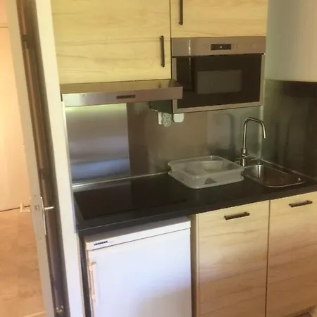 Studio Climatise 4P. Classe, Piscine, Terrasse Sur Parc Avec Palmiers Διαμέρισμα *